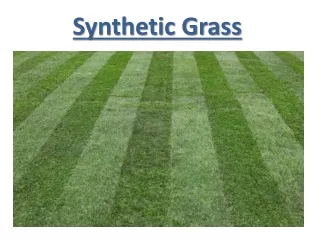 synthetic grass