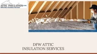dfw attic