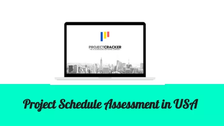 project schedule assessment in usa