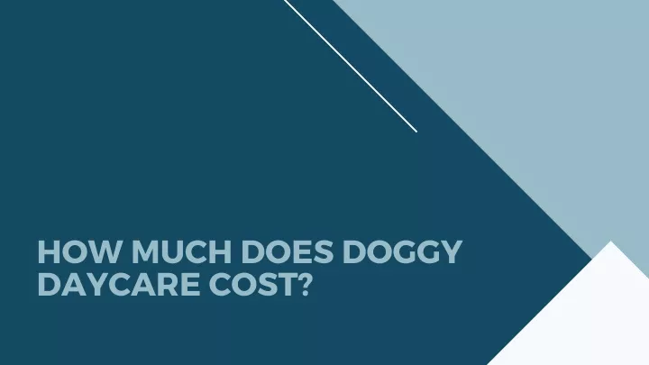 how much does doggy daycare cost