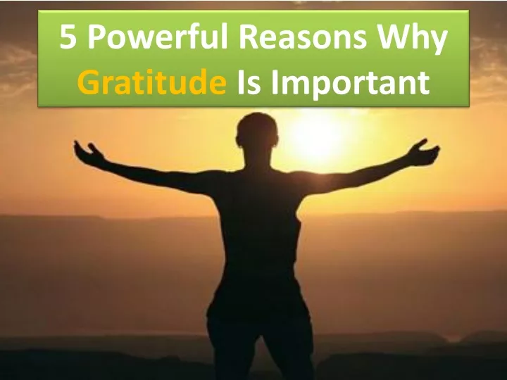 5 powerful reasons why gratitude is important