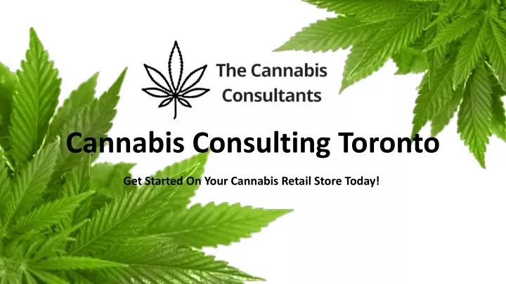 cannabis consulting toronto