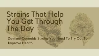 Strains That Help You Get Through The Day