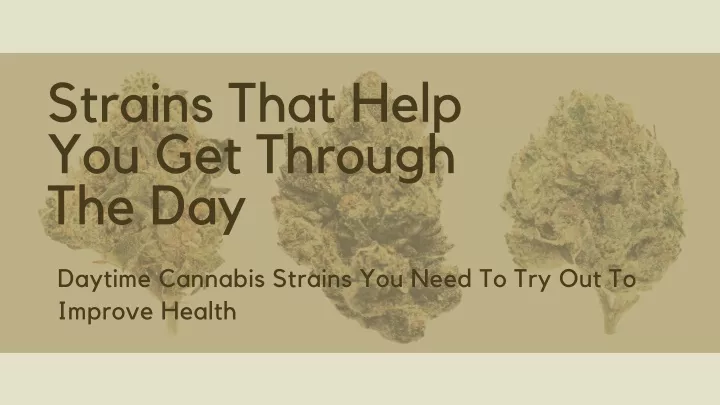 strains that help you get through the day