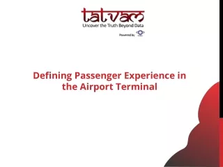 Defining Passenger Experience in the Airport Terminal