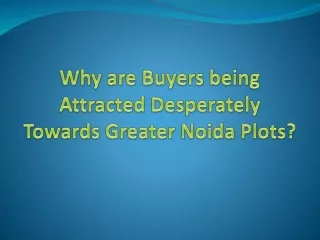 Why are Buyers being Attracted Desperately Towards Greater Noida Plots?
