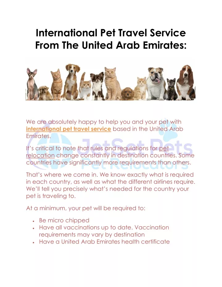 international pet travel service from the united