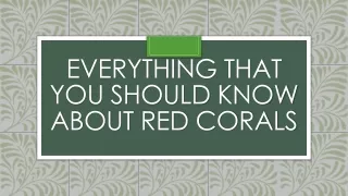 Buy Red Coral