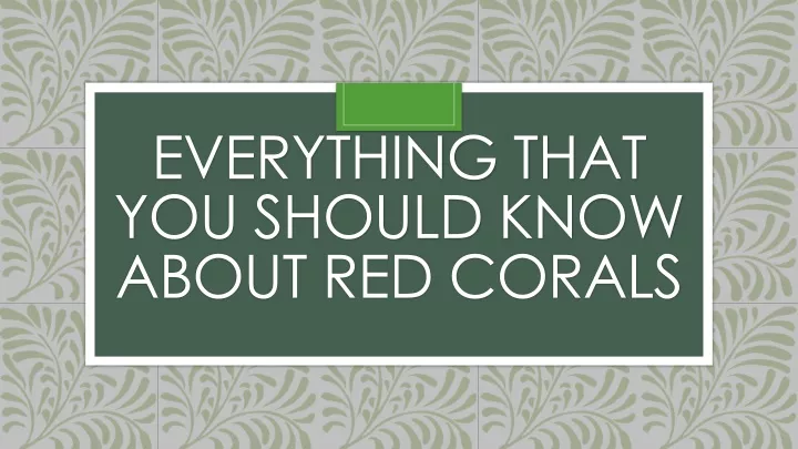 everything that you should know about red corals