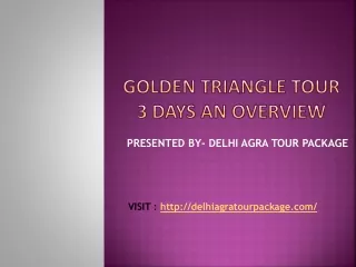 golden triangle tour 3 days an overview
