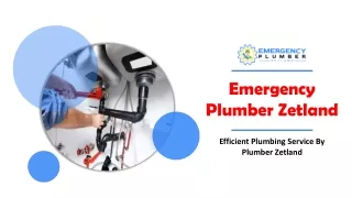 Efficient Plumbing Service By Plumber Zetland