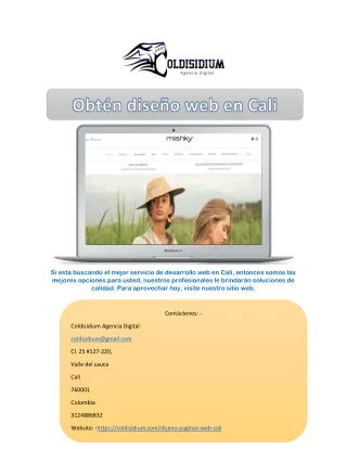 si est buscando el mejor servicio de desarrollo