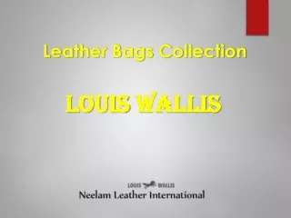 Leather Bag's Collection
