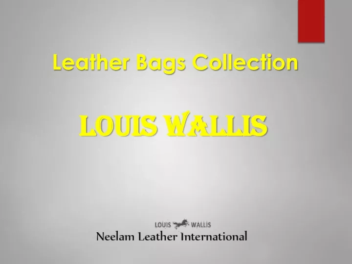 leather bags collection