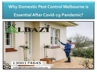 Domestic Pest Control in Melbourne