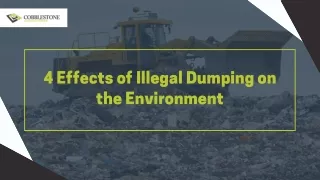 4 Effects of Illegal Dumping on the Environment