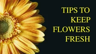 tipsto keep flowers fresh