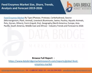 feed enzymes market size share trends analysis