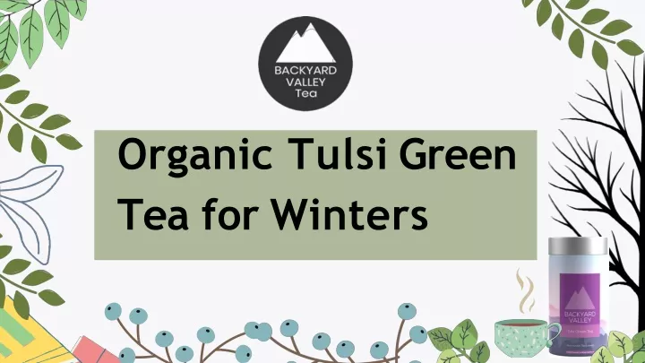 organic tulsi green tea for winters