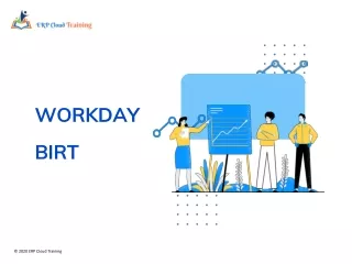 Brief Description of Workday BIRT Training
