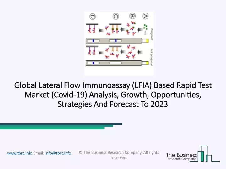 global lateral flow immunoassay lfia based rapid