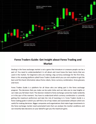 Forex Traders Guide: Get Insight about Forex Trading and Market