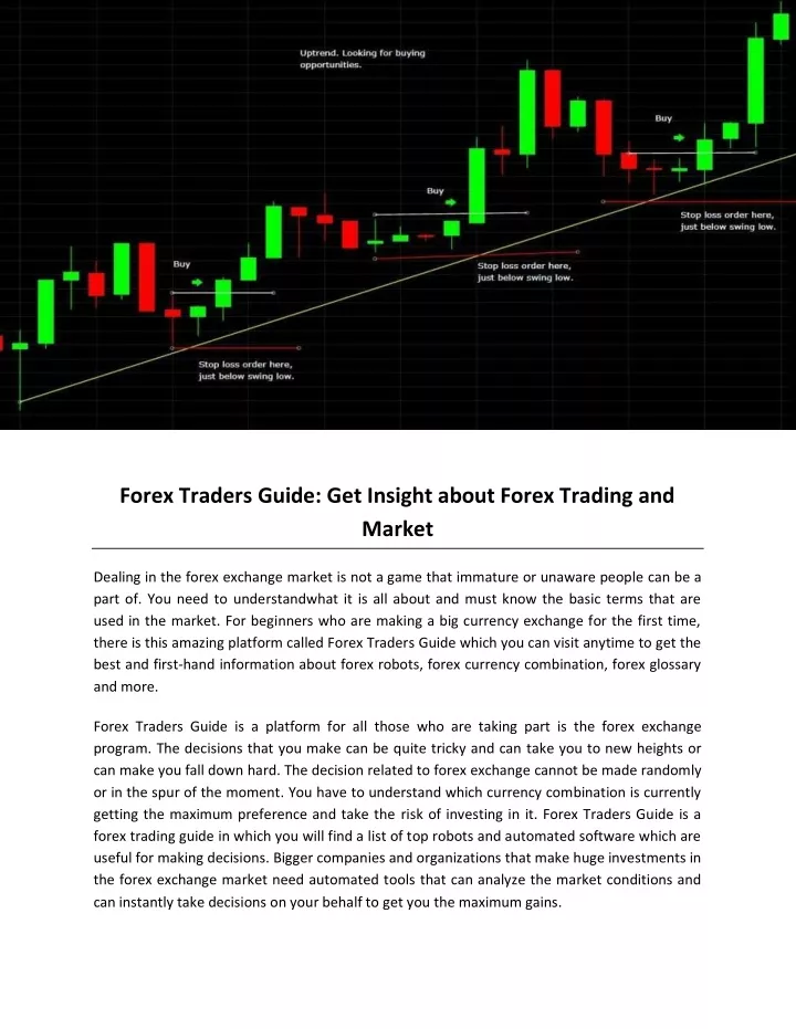 forex traders guide get insight about forex