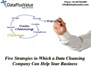 Comprehensive and High-Yielding Data Cleansing Analysis Services