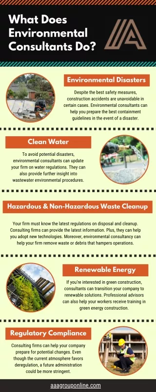 what does environmental consultants do