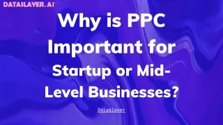 Why is PPC Important for Startup or Mid-Level Businesses?