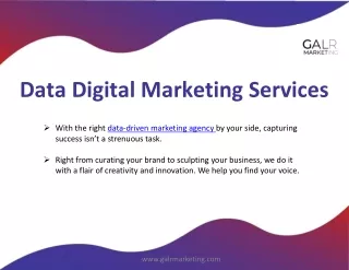 Best Data Driven Digital Marketing Services - GALR Marketing
