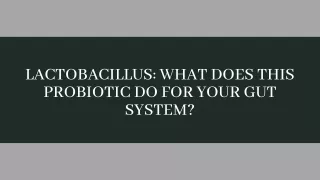 lactobacillus what does this probiotic