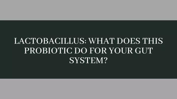 lactobacillus what does this probiotic