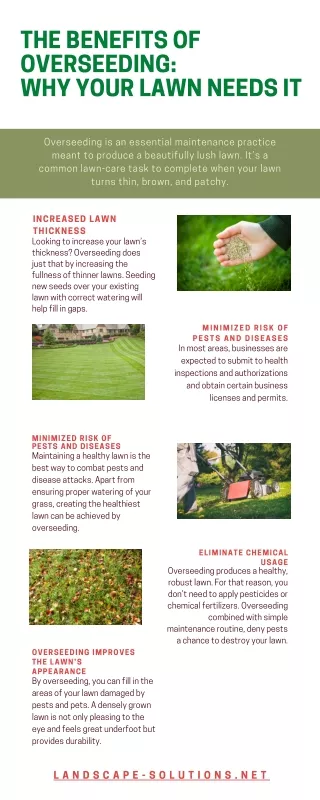 the benefits of overseeding why your lawn needs it