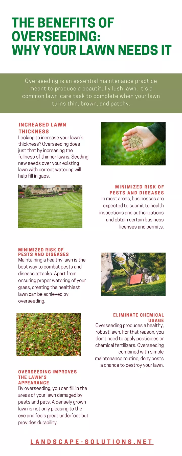 the benefits of overseeding why your lawn needs it