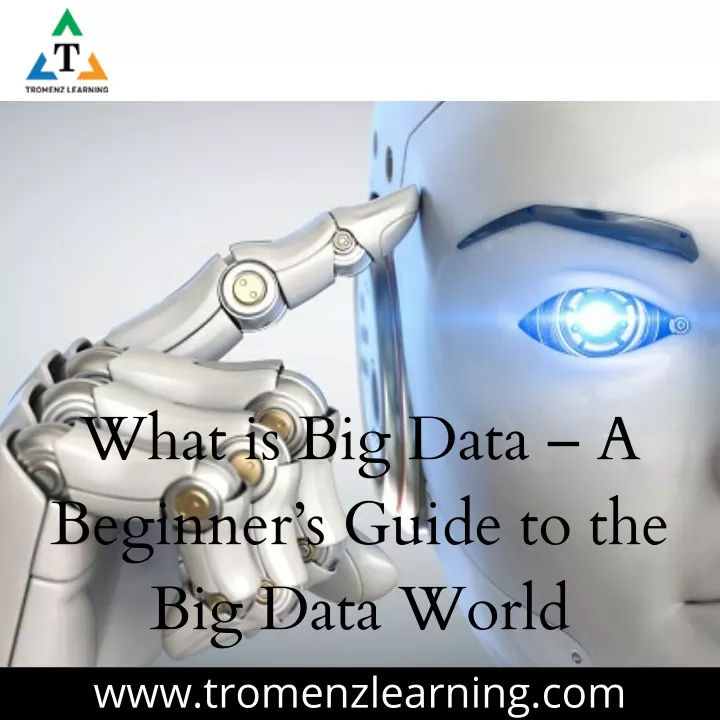 what is big data a beginner s guide