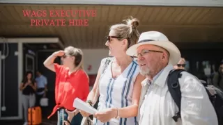 wags executive private hire