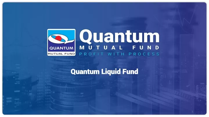 quantum liquid fund