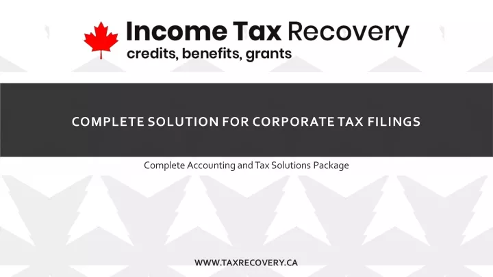 complete solution for corporate tax filings