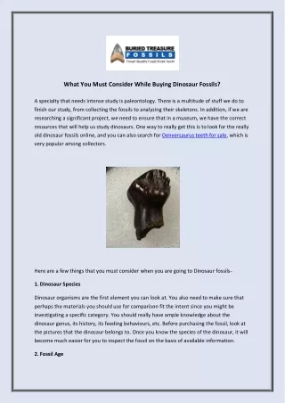 what you must consider while buying dinosaur