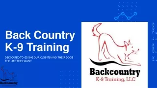 Back Country K-9 Training
