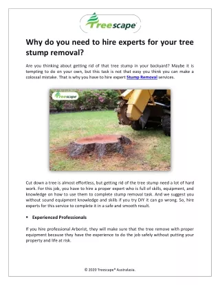 Why do you need to hire experts for your tree stump removal?