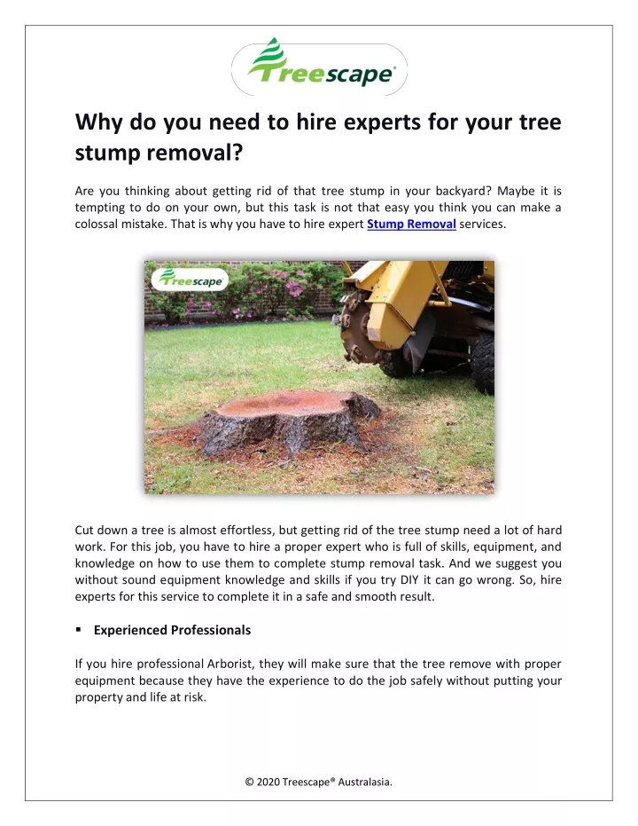 why do you need to hire experts for your tree