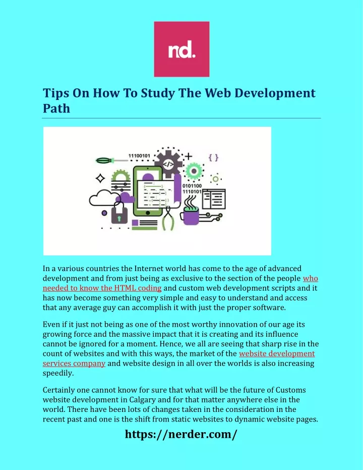 tips on how to study the web development path