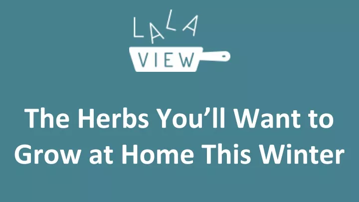 the herbs you ll want to grow at home this winter