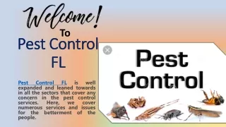 Turner Pest Control Jacksonville FL Gives Effective and affordable services