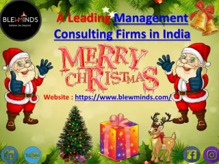 BlewMinds:A Leading Management Consulting Firms in India