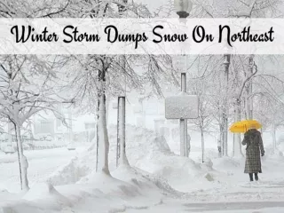 Winter storm dumps snow on Northeast