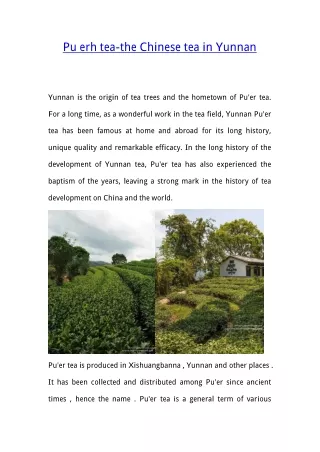 Pu erh tea-the Chinese tea in Yunnan