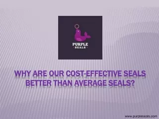 Why Are Our Cost-Effective Seals Better than Average Seals?